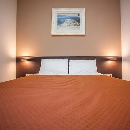 호텔 Terminus 포드고리차