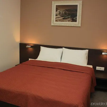 호텔 Terminus 포드고리차