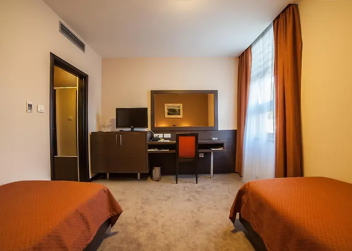 特米内斯酒店 3*