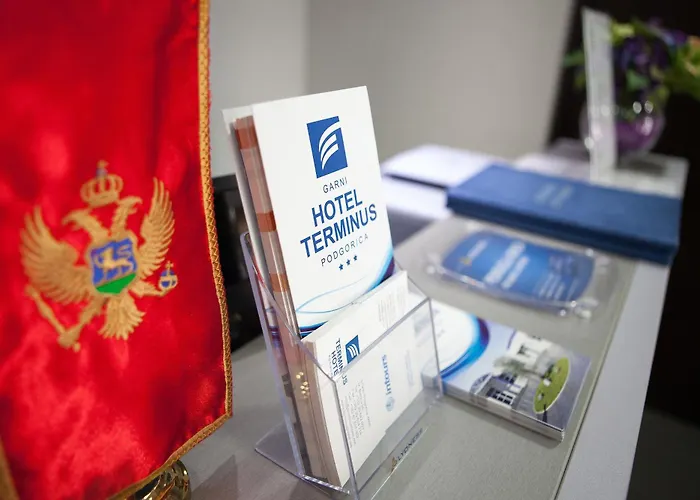 酒店 特米内斯酒店