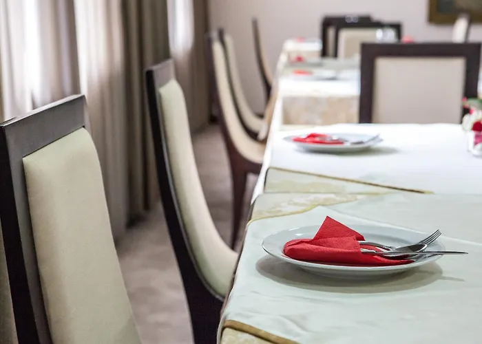 酒店 特米内斯酒店