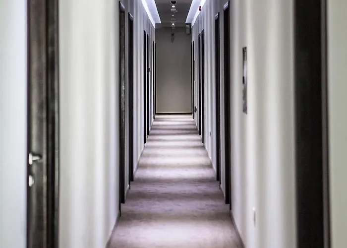 特米内斯酒店 酒店