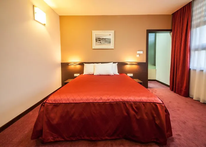 特米内斯酒店 3*