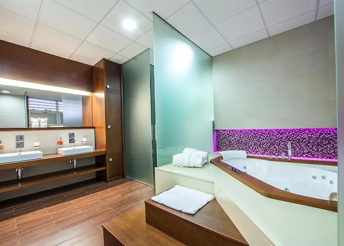 特米内斯酒店 3* 波德戈里察