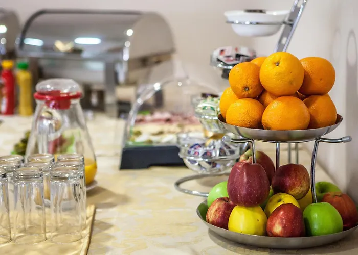 特米内斯酒店 酒店 3*