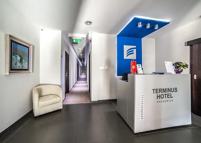 酒店 特米内斯酒店 波德戈里察