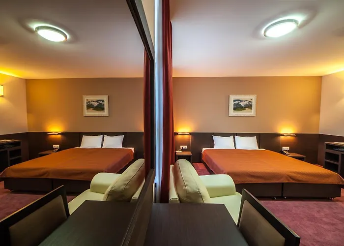 特米内斯酒店 酒店