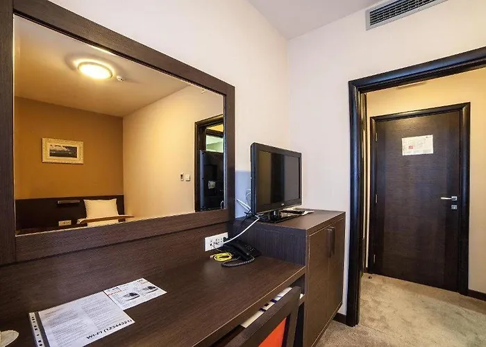 酒店 特米内斯酒店 3*