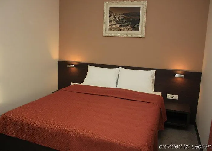 酒店 特米内斯酒店 波德戈里察