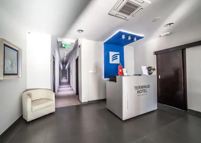 酒店 特米内斯酒店