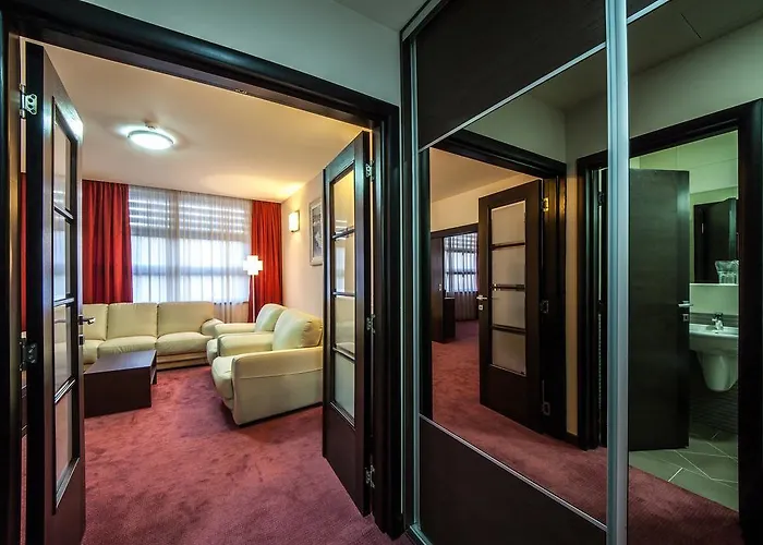 酒店 特米内斯酒店 波德戈里察